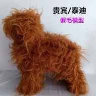 Pet Grooming Practice Teddy Poodle Fake Hair Model Fake Dog Hair Piece Fake Hair Fake Back Hair Full