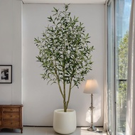 Artificial Olive Tree 50cm(1.6FT)-210cm(6.9FT) | Pokok Hiasan Fruits/Leaves, Ready Stock MY