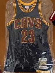 NBA Mitchell&ness Lebron James AUTHENTIC Jersey