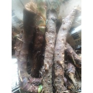 Combo 3kg of millennium roots, cut out roots (fresh roots)