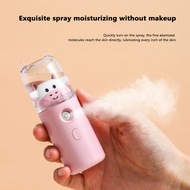 Portable Nano Ion Face Steamer Humidifier Facial Sprayer Moisturizing Can Spray