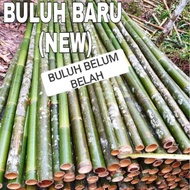 NEW UNSPLIT BAMBOO LITTLE BAMBOO/ BAMBOO POLE/