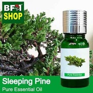 Pure Essential Oil (EO) - Pine - Sleeping Pine Essential Oil - 10ml