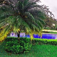 โรงแรม Apartamento e109 - กัวเตมาลา