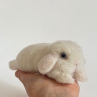 慵懶姿態的羊毛氈兔 垂耳兔 藍眼白兔 垂耳兔 藍眼白兔 兔子