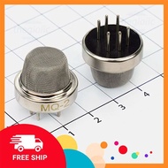 MQ-2 Gas Sensor Head