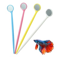 Round Flaring Mirror Flare Stick for Betta Fish Fighting Fish Training Betta Flare