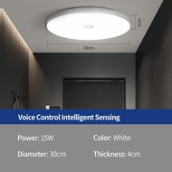 Intelligent Induction Ceiling Light Surface Mounted 9W/12W/15W/24W Motion Induction Ceiling Lamp Ene