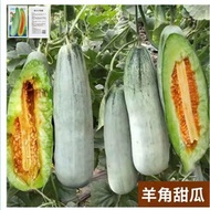 Claw Honey Melon Seed Claw Crisp Melon Seed Genuine Spring Four Seasons Fruit Melon Honey Extra Larg