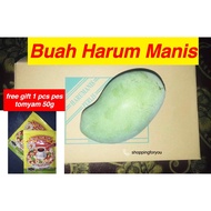 Mangga Harum Manis Made In Perlis 