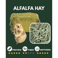 ALFALFA HAY (RUMPUT HAIWAN)
