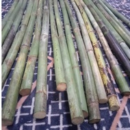 ROTAN SEMAMBU PANJANG 3 KAKI LEBIH