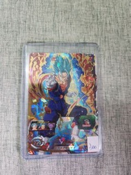 龍珠閃卡