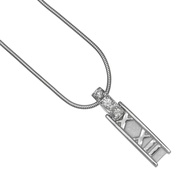 Tiffany Atlas Bar 項鍊，18K白K金鑲鑽，約 ​​7.1 克，女士款 [二手]