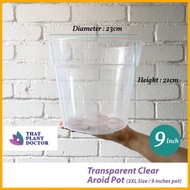 Transparent Clear Aroid Pot (3xl Size / 9 Inches Pot) (diameter 23cm / Height 21cm)