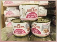 Royal Canin 法國皇家 罐頭濕糧