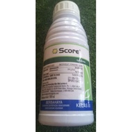 score racun kulat REPACK