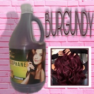 Golden shine Cellophane hair color treatment BURGUNDY 1/2 gallon