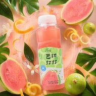Yizhibi BaGanDaDa Guava & Amla Juice Drink 245ml x 10 Bottles – NFC Guava Citrus Fruit Beverage