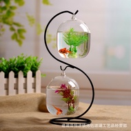 Hanging Transparent Betta Tank Desktop Small Aquarium Mini Iron Frame Glass Fish Tank Creative Ecological Fish Tank