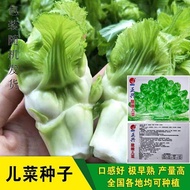 Cabbage Seeds Hug Seeds Mustard Vegetable Seeds Chongqing Vegetable Seeds Vegetable Seeds Southern A