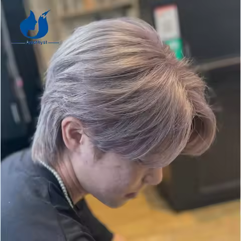 Amethyst Straight Grey Color Short Pixie Cut Wig 13x4 Lace Front Human Hair Wig for Men Pre Plucked 