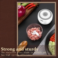 Electric Food Chopper / USB Garlic Chopper / Kitchen Blender Mixer / Vegetable Meat Chilli Grinder M