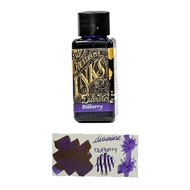 UK Diamine Fountain Pen Ink Bottle, Diamine Bilberry Ink Bottle 30ml
