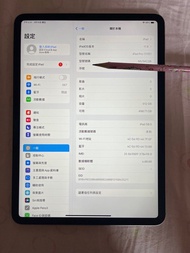 iPad Pro 11吋第一代 512GB Celluar可插sim卡流動上網