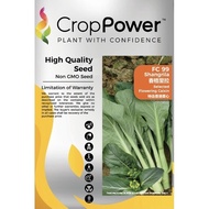 Biji Benih Sawi Hongkong /Flowering Caixin/ 菜心花种子  FC99 [ 500g ] [ CROP POWER ]