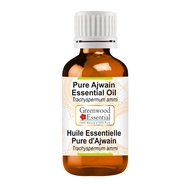 Pure Ajwain Essential Oil (Trachyspermum ammi) Steam Distilled 30ml (1 oz)