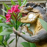 1998 TOHO 東宝 哥吉拉 酷斯拉 大型軟膠手偶