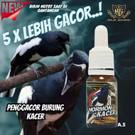 Hormon Kacer Vitamin Penggacor Burung Kacer Doping Kacer Vitamin Burung Kacer Penggacor Burung Kacer Doping Burung Kacer Konslet Vitamin Burung Cepat Gacor