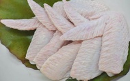 【標裕牧場 珍珠嫩雞二節翅 250g/六入】100%天然植物性飼料養成 標裕放走雞