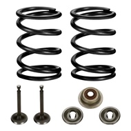 Top Mini Bike for 196cc 212cc 224cc 18lb Racing Valve Spring Kit for Non-Hemi GX160 GX200 6.5HP OHV 