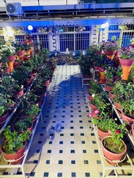 Apartemen 20 m² dengan 1 kamar tidur dan 1 kamar mandi pribadi di Quetta (Al Qasim Hotel)