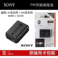 【攝界】現貨 Sony NP-FW50 吊卡盒裝 原廠電池 A7 II A9 A7R NEX A5100 A6000