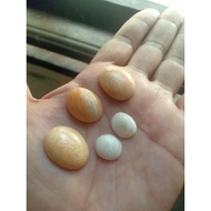 Batu Mani gajah Asli