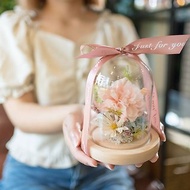 S12康乃馨罩盅/母親節禮物 康乃馨乾燥花 永生花 玻璃罩盅