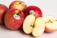 紐西蘭有機富士蘋果#110 (16顆) 654g(4顆)*4袋/箱
