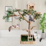HY/🆎Cat Climbing Frame Cat Tree Cat Nest Integrated Large Dead Tree Cat Tree Cat Coffee Cattery Solid Wood Cat Rack Luxu