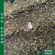 Imported Peat Moss (3 Kg/Approximately 10 L) SHS Kebun For Seeding and Seed Germination 泥炭土 Tanah Se