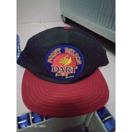 Point Wilson Dart mesh hat