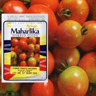 Maharlika Hybrid Tomato Jacobina Seeds (200 Seeds)