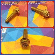 ☍ ━ ➫ Heng Gold Rear Shock Bolt 8mm for Yamaha Mio M3, SoultY, Sporty, Mio Soul i, Gear, Nouvo, & G