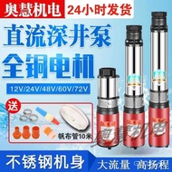 DC Deep Well Pump Electric Vehicle Volt Battery Water Pump Universal Water Pump 12v24v48v60v72 Subme