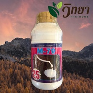 ยาทาหน้ายาง M79 500 cc