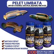 Pelet ikan gachua limbata kemasan botol 50gram 2mm rekomended buat ikan bleheri fire and ice gachua