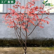 Landscaping Zen Green Red Maple Leaf Simulation Decoration Modeling Tree Window Indoor Outdoor Floor