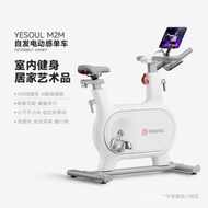 YESOUL Beast Dynamic Bicycle Small Silent Fitness Equipment Indoor Sports Exercise Bike M2M
